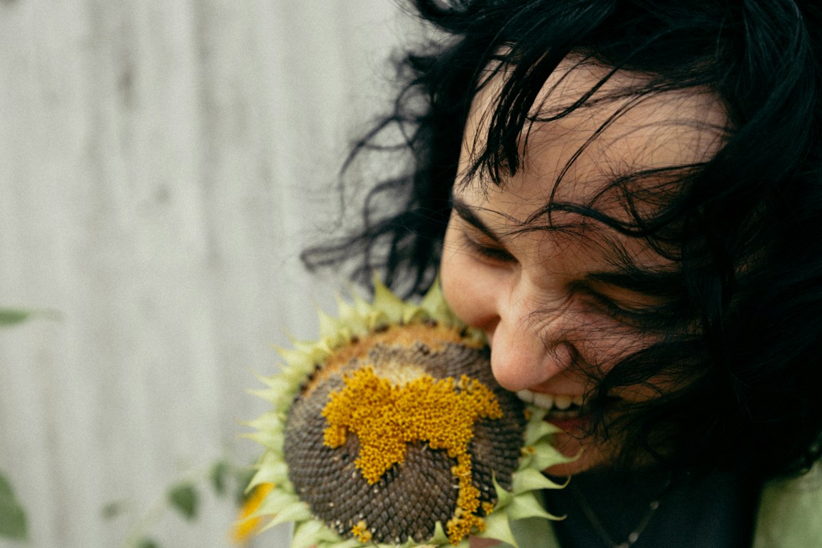 Sonnenblumenkerne und Prostatagesundheit
